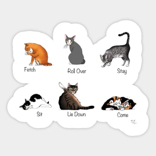 Cat Commands Sticker